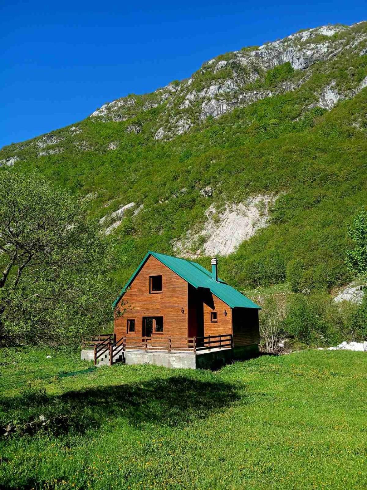 Kraljica Planina Savnik